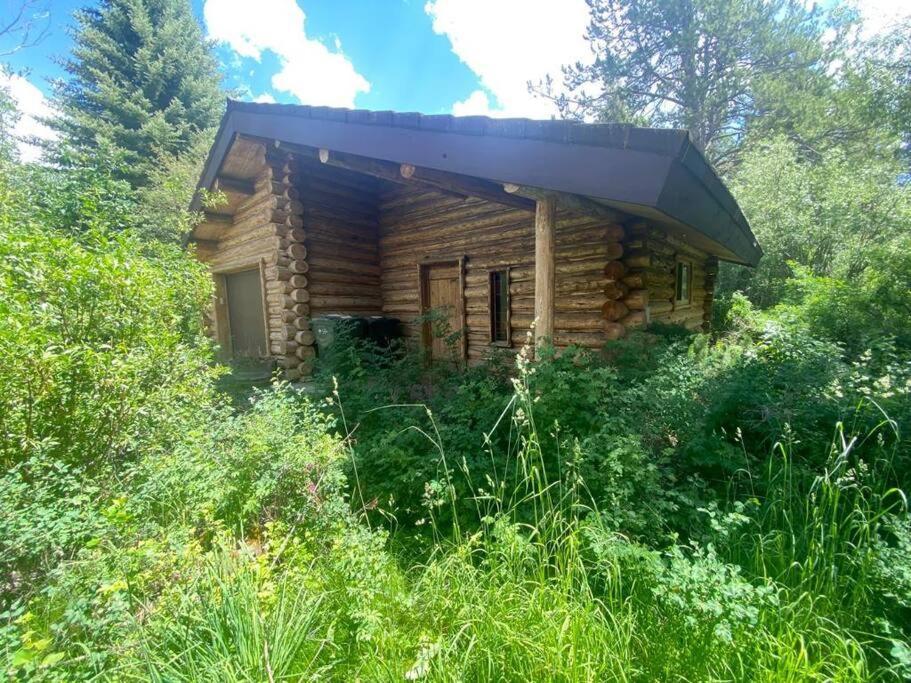 Aspen's Holiday home